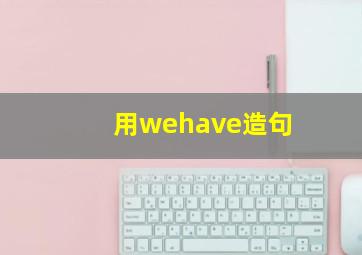 用wehave造句