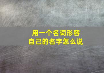 用一个名词形容自己的名字怎么说