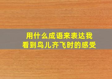 用什么成语来表达我看到鸟儿齐飞时的感受