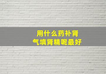 用什么药补肾气填肾精呢最好