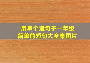 用单个造句子一年级简单的短句大全集图片