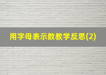 用字母表示数教学反思(2)