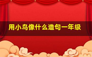 用小鸟像什么造句一年级