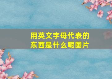 用英文字母代表的东西是什么呢图片