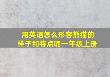 用英语怎么形容熊猫的样子和特点呢一年级上册