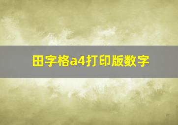 田字格a4打印版数字