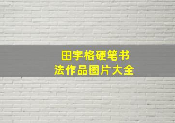 田字格硬笔书法作品图片大全