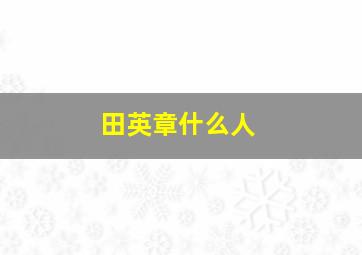 田英章什么人