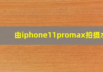 由iphone11promax拍摄水印