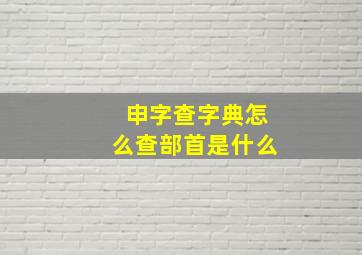 申字查字典怎么查部首是什么