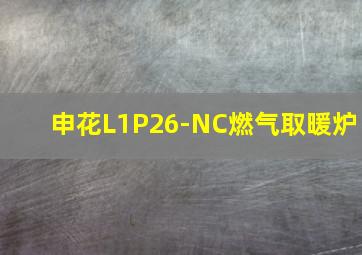 申花L1P26-NC燃气取暖炉