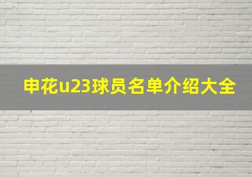 申花u23球员名单介绍大全