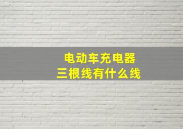 电动车充电器三根线有什么线