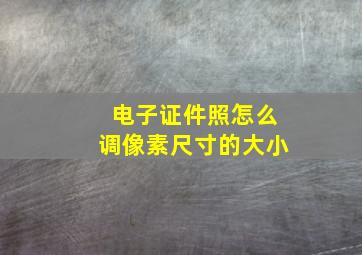 电子证件照怎么调像素尺寸的大小