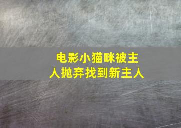 电影小猫咪被主人抛弃找到新主人