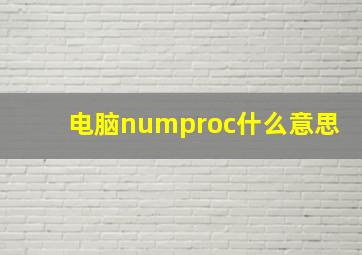 电脑numproc什么意思