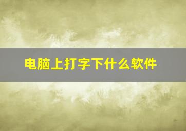 电脑上打字下什么软件