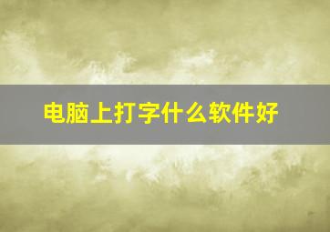 电脑上打字什么软件好