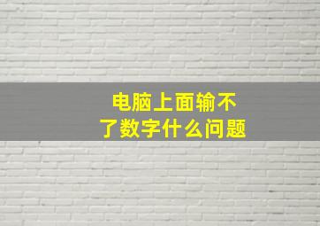 电脑上面输不了数字什么问题