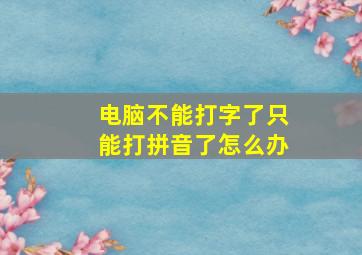 电脑不能打字了只能打拼音了怎么办