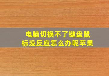 电脑切换不了键盘鼠标没反应怎么办呢苹果