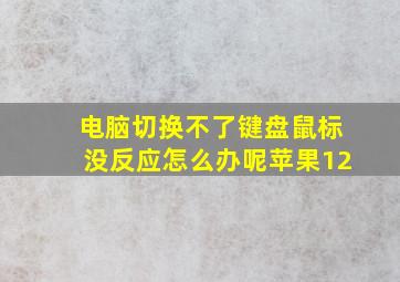 电脑切换不了键盘鼠标没反应怎么办呢苹果12