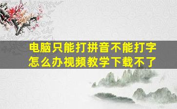 电脑只能打拼音不能打字怎么办视频教学下载不了