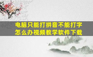 电脑只能打拼音不能打字怎么办视频教学软件下载