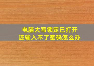 电脑大写锁定已打开还输入不了密码怎么办