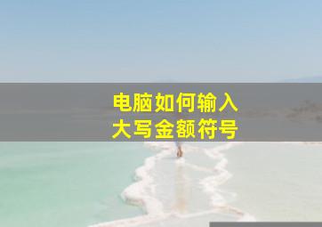 电脑如何输入大写金额符号