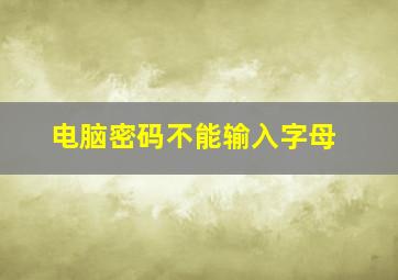 电脑密码不能输入字母