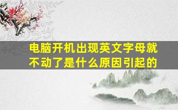 电脑开机出现英文字母就不动了是什么原因引起的