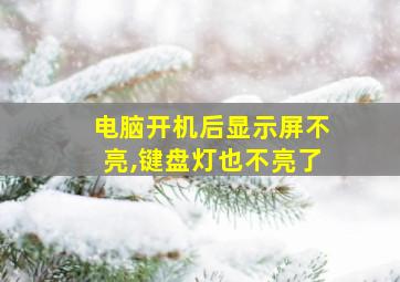 电脑开机后显示屏不亮,键盘灯也不亮了