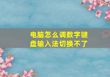 电脑怎么调数字键盘输入法切换不了