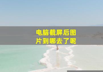 电脑截屏后图片到哪去了呢