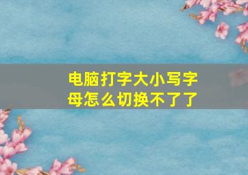 电脑打字大小写字母怎么切换不了了