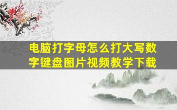 电脑打字母怎么打大写数字键盘图片视频教学下载