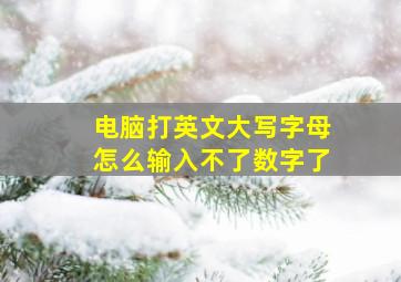 电脑打英文大写字母怎么输入不了数字了