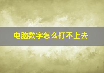 电脑数字怎么打不上去