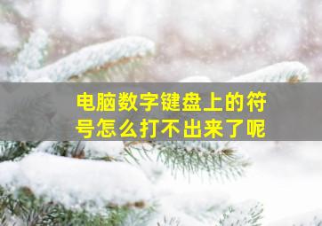 电脑数字键盘上的符号怎么打不出来了呢