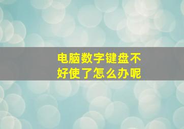 电脑数字键盘不好使了怎么办呢