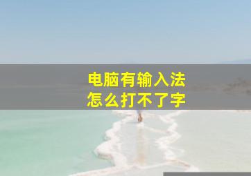 电脑有输入法怎么打不了字