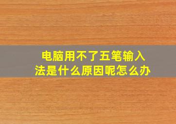 电脑用不了五笔输入法是什么原因呢怎么办