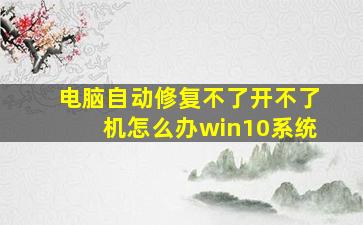 电脑自动修复不了开不了机怎么办win10系统