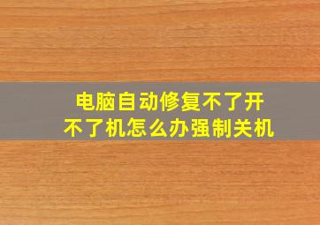 电脑自动修复不了开不了机怎么办强制关机