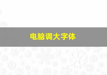 电脑调大字体