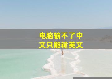 电脑输不了中文只能输英文