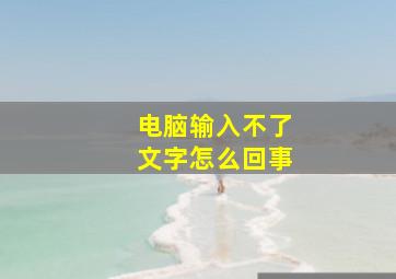 电脑输入不了文字怎么回事