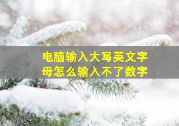 电脑输入大写英文字母怎么输入不了数字