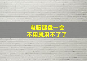 电脑键盘一会不用就用不了了